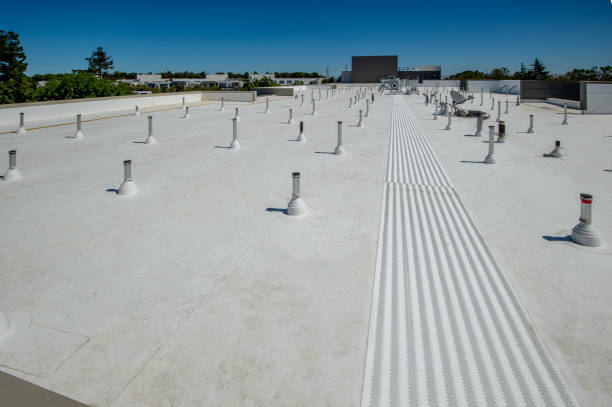 Best Skylight Installation and Repair  in Southport, CT